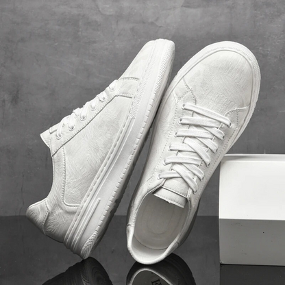BELFORD CLASSIC TRAINERS